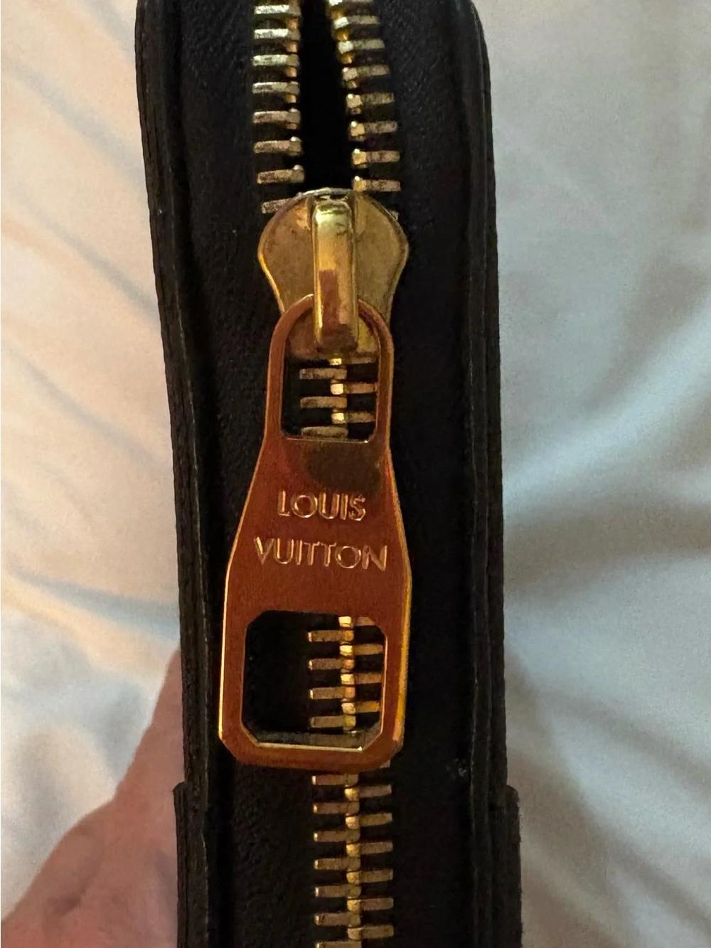Louis Vuitton Monogram Macassar Daily Organizer